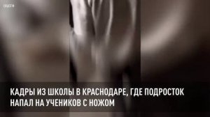 Кадры из школы в Краснодаре, где подросток напал на учеников с ножом