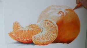 How to draw a Satsuma - Layering and Blending | Samantha Clift Art