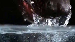 Как собака пьёт воду