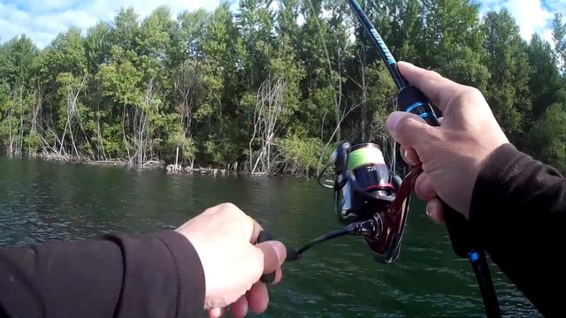 Короткая утренняя рыбалка! смотреть онлайн