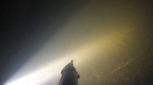 Подводная охота, без рыбы река Лесной Воронеж