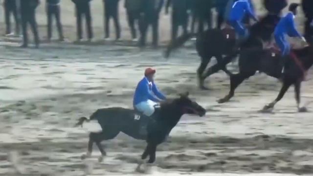 "КОК БОРУ" КЫЛЫЧ ЭДИК 🇰🇬 смотреть онлайн