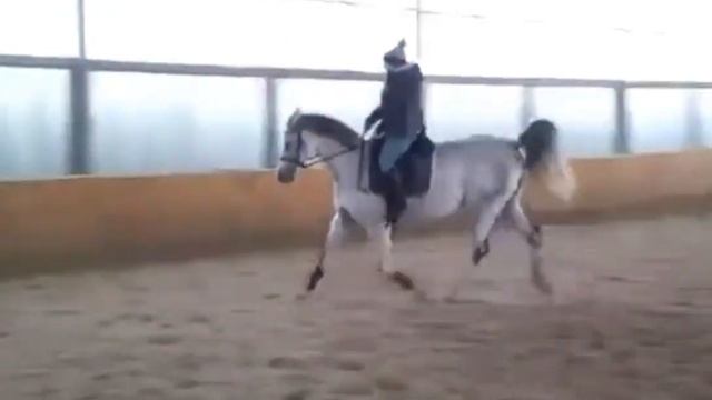 Лена и Висмут. 2017 г любимая работа. смотреть онлайн