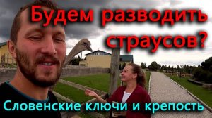 Попробовали на вкус страусов. Омолодились в Словенских источниках. Посетили крепость в Изборске.