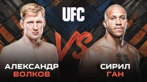 Кто победит в реванше ТОПОВЫХ тяжеловесов? | UFC 310: Александр Волков – Сирил Ган