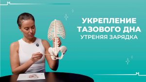 Укрепление тазовго дна. УТРЕННЯЯ ЗАРЯДКА. Движение крестца и здоровье таза