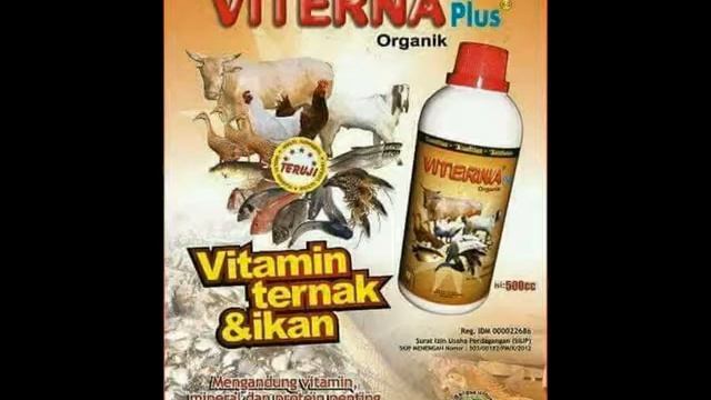 INFO PEMESANAN 081802088351, vitamin untuk ternak domba смотреть онлайн