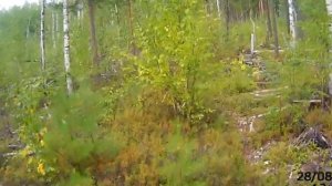 Едем там, где никто не едет