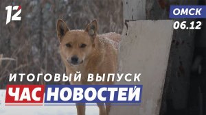 Бездомные собаки бросаются на людей / Новая схема движения / Усиление ветра. Новости Омска