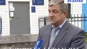 Что делать, если бродячие псы нападают на людей?