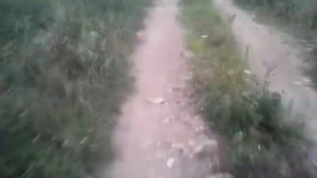 Прогулка )) велосипед ,собака ) смотреть онлайн