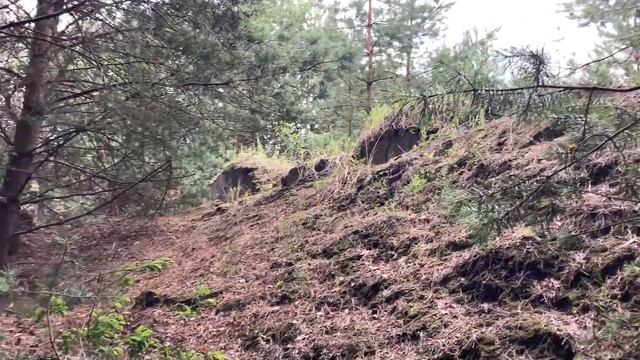 Храним историю Пинщины Мерчицкий сельский Совет. Пинский район