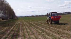 Разброс селитры аммиачной.