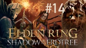 ВЫХОЖУ ЗА ФИНАЛЬНЫМ БОССОМ DLC ➲ ELDEN RING Shadow of the Erdtree ➲ СТРИМ #14 (2K RTX)