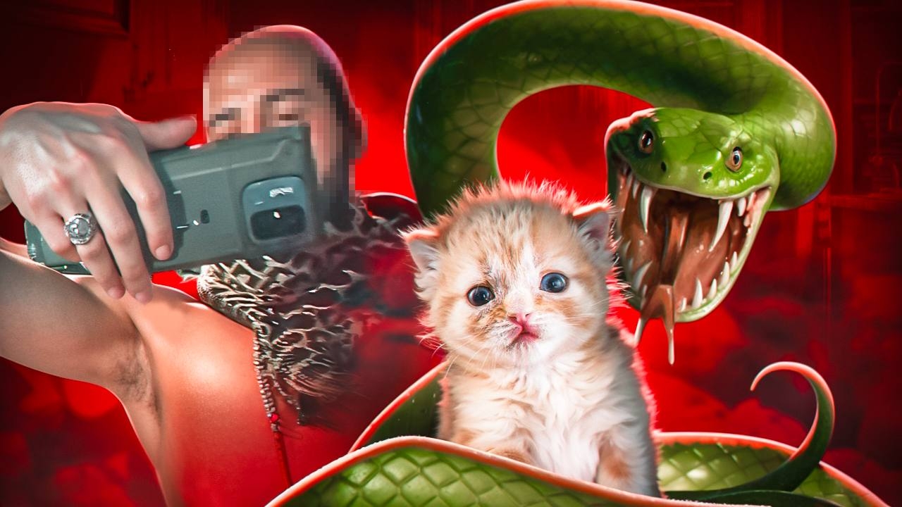 ШИЗ КОРМИТ ЗМЕЮ КОТЯТАМИ смотреть онлайн