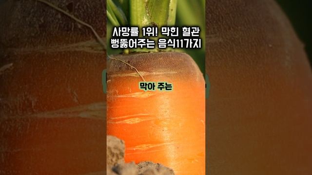 전세계 사망률 1위! 막힌 혈관 뻥~ 뚫어주는 음식 11가지I 혈관노화I심근경색I뇌줄증I 심장마비 смотреть онлайн