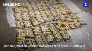 ФСБ задержали членов наркокартеля с 570 кг кокаина