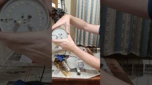 Ремонтирую светодиодную лампу за 5 минут без специальных навыков.