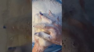 МЫЛЕНИЕ ОЛИВКОВОГО МЫЛА АСМР #soap #мыло #soaping #мыление #asmr #асмр #мылоасмр