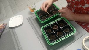 Посадочный день, делюсь своим способом и тем, что знаю.