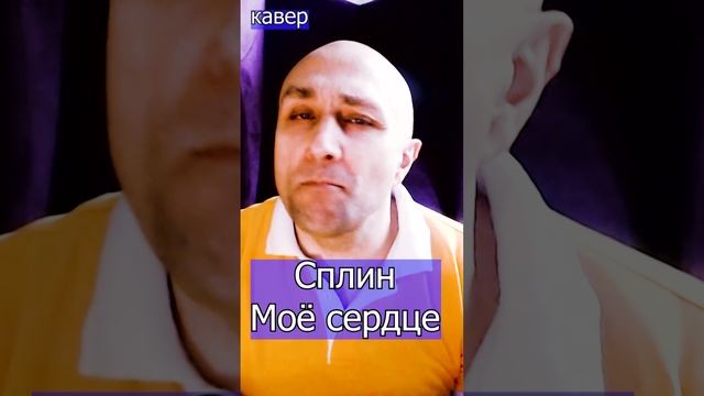 Сплин - Моё сердце Клондайс кваер из архива