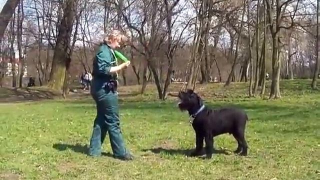 фотки 055 смотреть онлайн