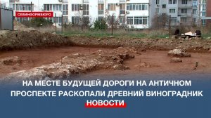 Археологи СевГУ раскопали древний виноградник на Античном проспекте