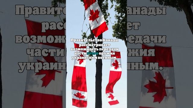 NP: Канада планирует поставлять запрещенное в стране оружие на Украину