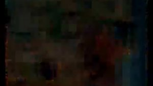 Rocco Siffredi vs Eva Henger