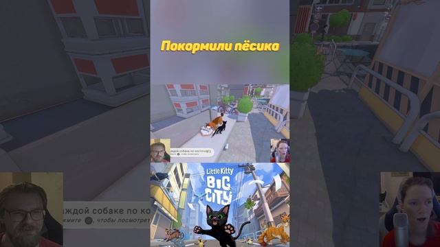 Покормили пёсика в Little kitty, big city