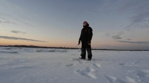 Каждый сам за себя, ловля леща со льда.