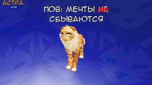 А почему бы и нет? | #РОФЛ