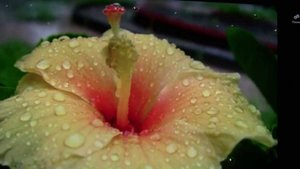 Счастье – это глагол прошедшего времени