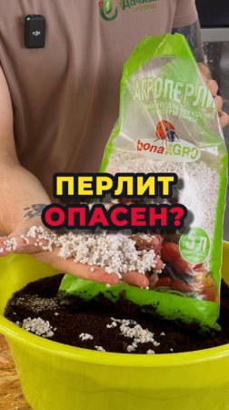 Перлит опасен?