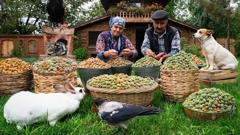 Сбор и Выпечка из Свежего Миндаля: Деревенская Традиция