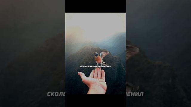 🔥Слова, которые заставляют задуматься 🔥