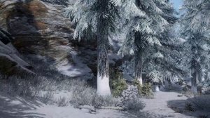 Skyrim Music & Ambience _ Walking Across Skyrim - Pinewatch To Bruma _ Ambient Music