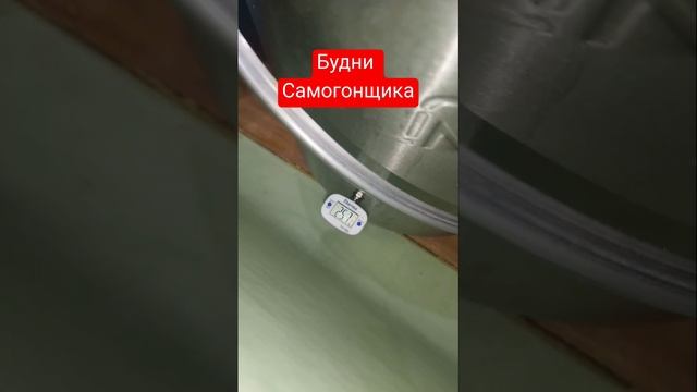 Будни самогонщика Перегон пшеницы