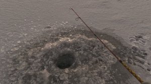 Первый лёд, первый заброс и рыба!!! Карелия!!!