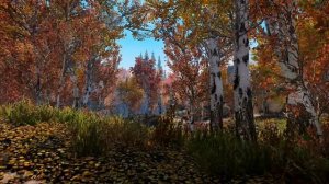 Skyrim Music & Ambience _ Walking Across Skyrim - Riften To Ivarstead _ Ambient Music
