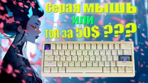 ГОДНОТА или БЕДНОТА? Cidoo QK61 – Гаскет маунт, Свитчи Pearl White и VIA