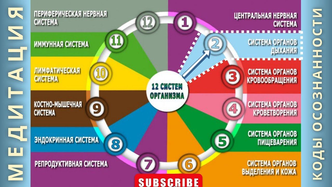 12 систем