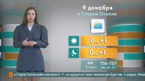 Погода в Старом Осколе на 9 декабря