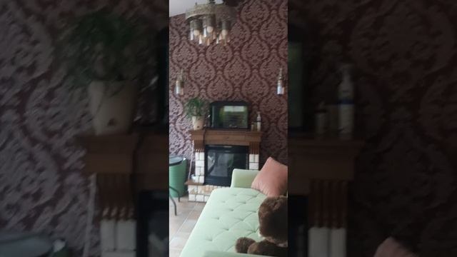 Дом у реки в лесу.Чертовицы