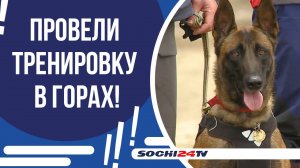 ТУШИЛИ ПОЖАР, ЭВАКУИРОВАЛИ ЛЮДЕЙ И ОКАЗЫВАЛИ ПОМОЩЬ ПОСТРАДАВШИМ!