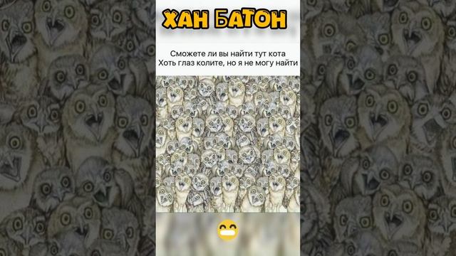 Нашли кота? #ХанБатон #XAH6ATOH #юмор #shorts #смех #прикол #шутка #дзен #dzen #пранк #humor #laught