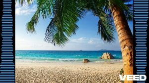 Вспоминай.mp4