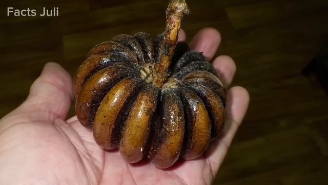 Самые Опасные Деревья, Которые Нельзя Трогать смотреть онлайн