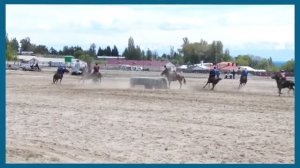 Манас Ниязов лучшие броски Кок-бору