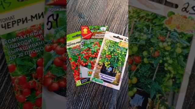 Огород зимой на окне . Начинаю Новые обзоры